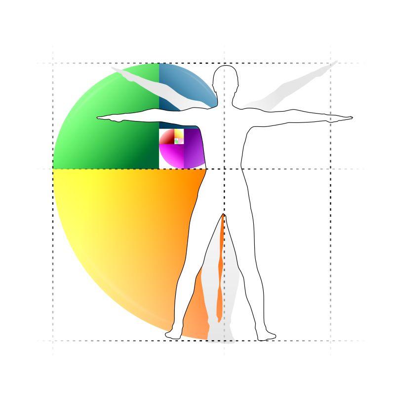 人物比例的经典矢量插图