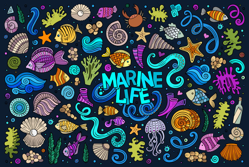 海洋生物彩色手绘涂鸦矢量图