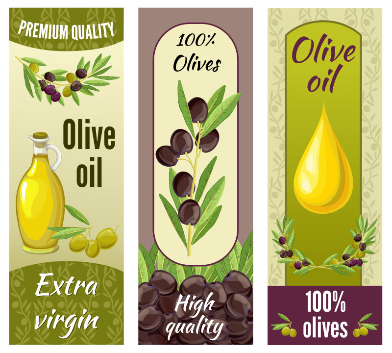 三垂直隔离橄榄横幅与优质特级初榨橄榄油描述矢量插图