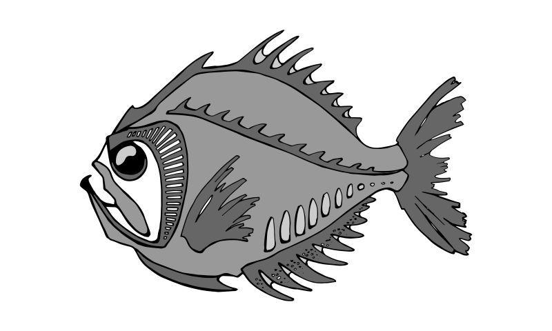 矢量的卡通食人鱼插图