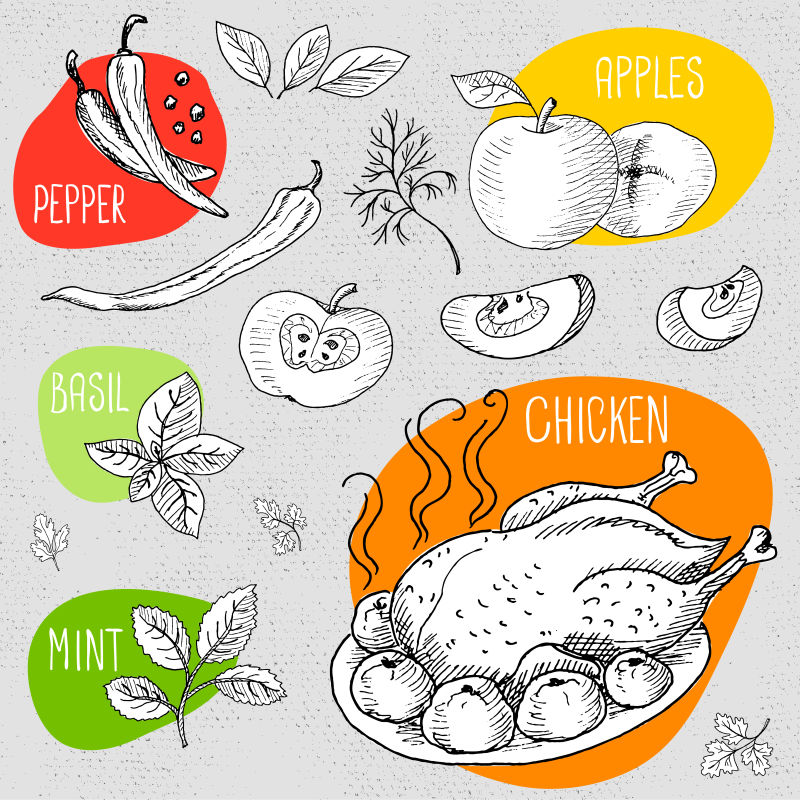 烤烤鸡肉配以苹果和香料调味手绘矢量插图