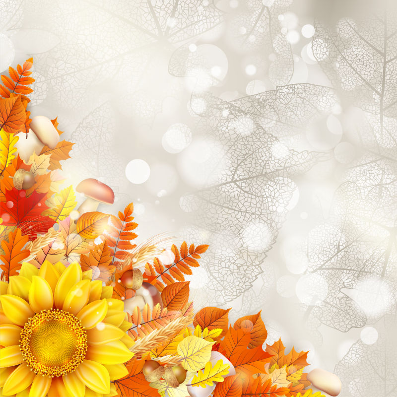 矢量美丽秋季花卉元素的创意背景