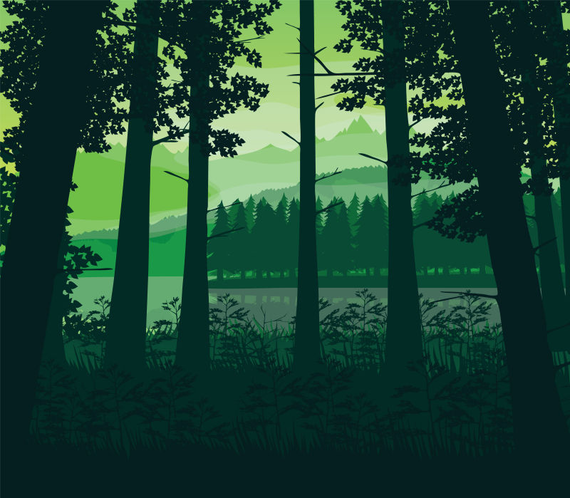 矢量的绿色森林插图