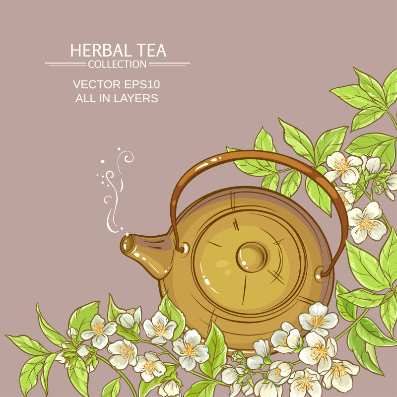 抽象矢量现代茉莉花茶插图