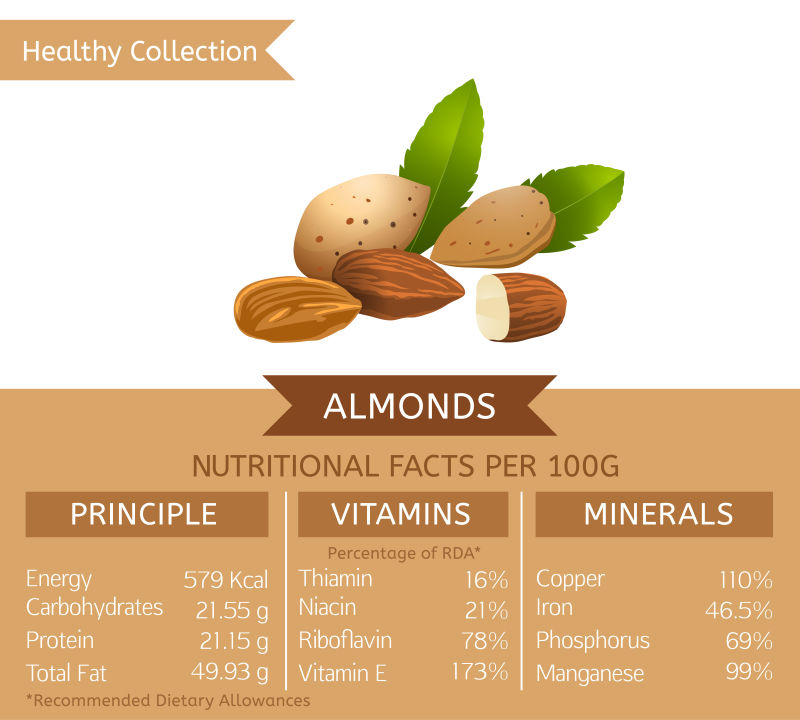 杏仁的营养矢量信息图