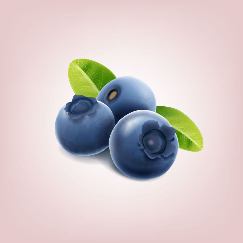 矢量的蓝莓