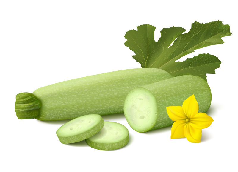 矢量的绿色蔬菜插图设计