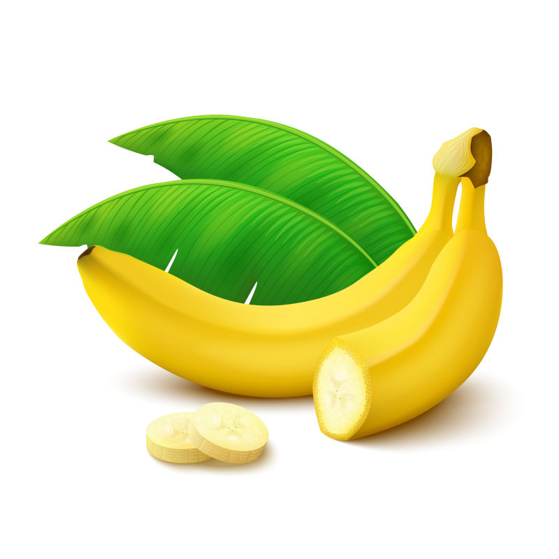 矢量的新鲜香蕉插图