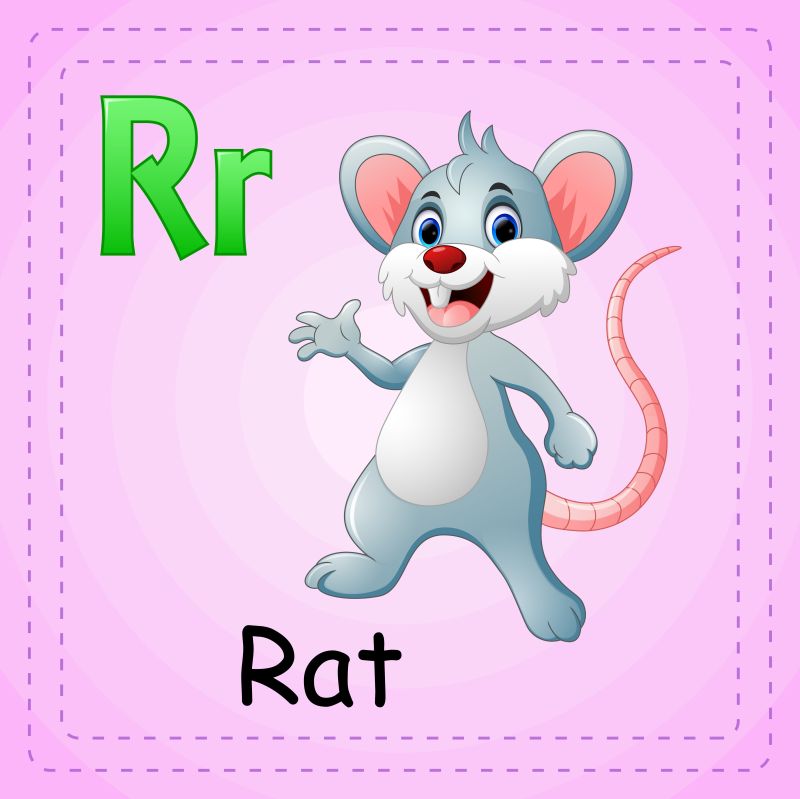 动物字母R是老鼠矢量