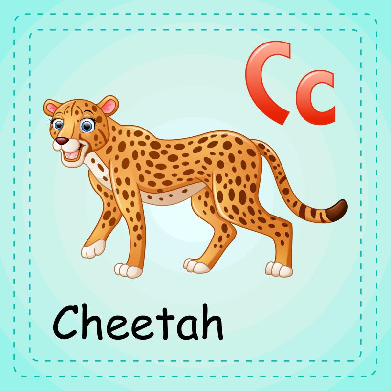 动物字母C代表猎豹矢量