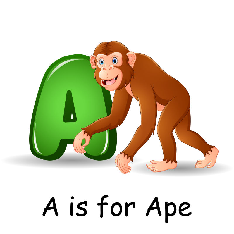 动物字母表A是猿矢量