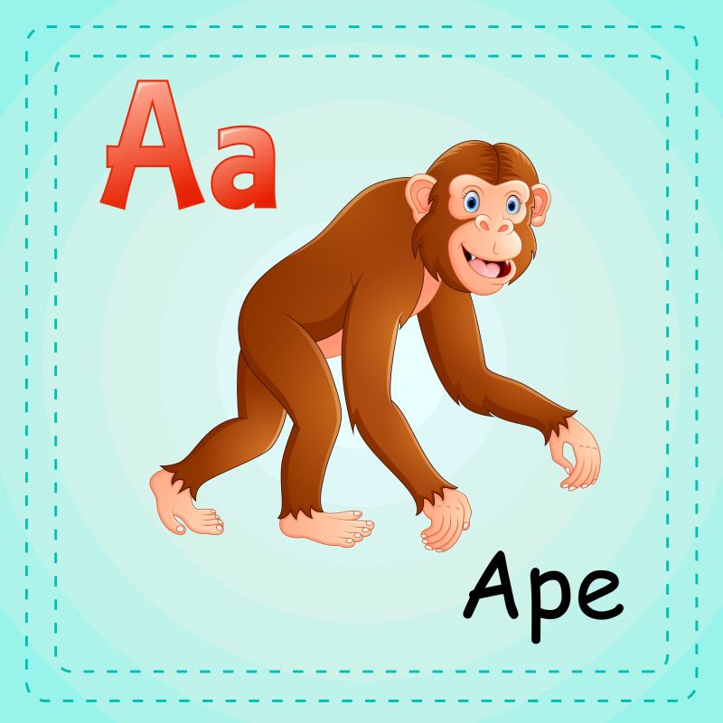 矢量动物字母表A是猿