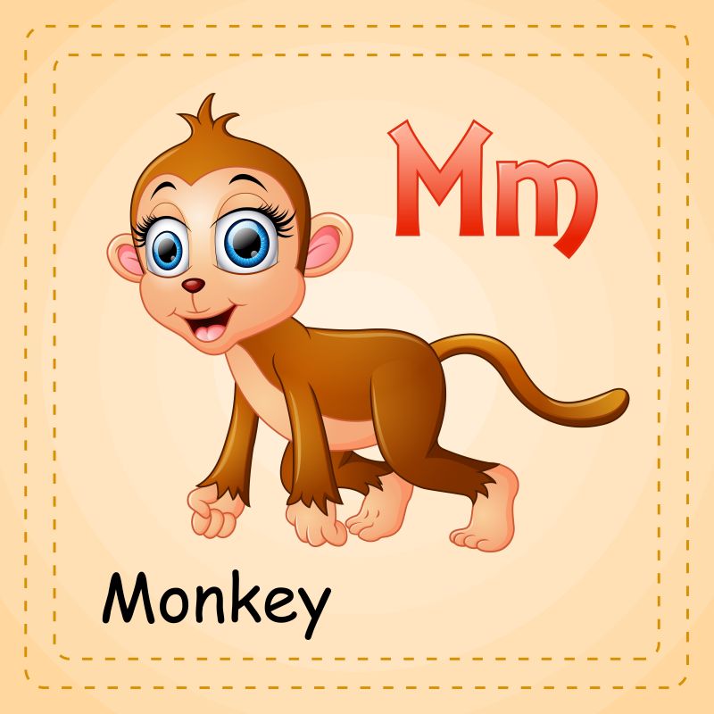 动物字母表M代表猴子矢量