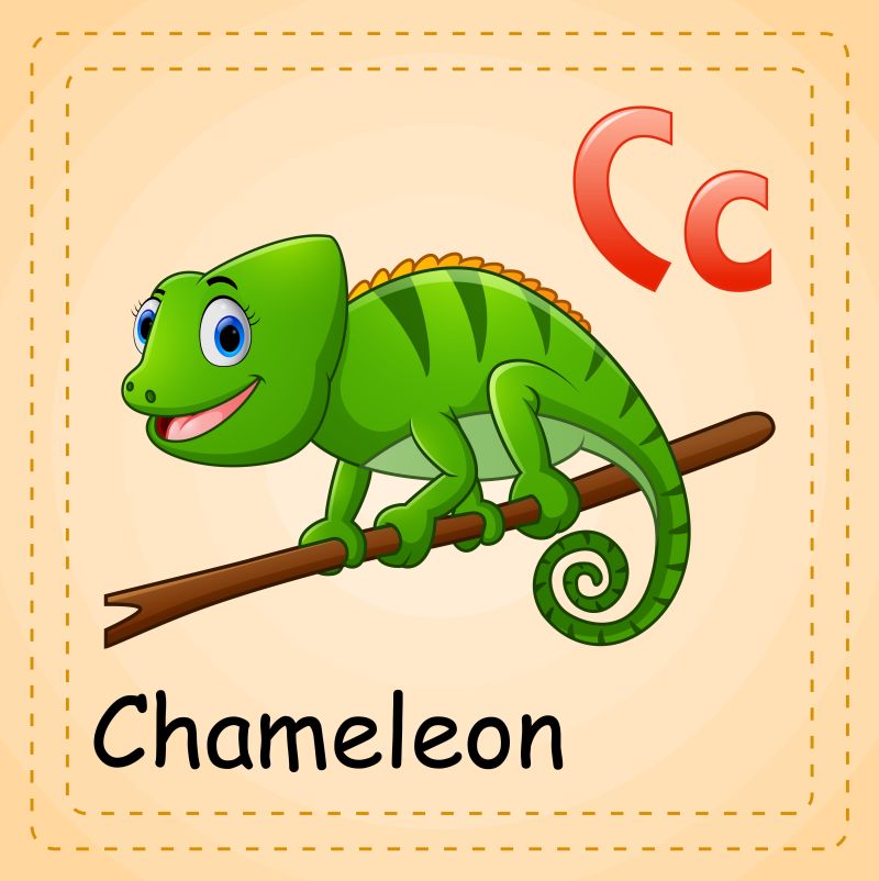 动物字母表C是变色龙矢量