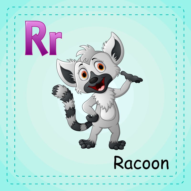 动物字母表R是浣熊矢量