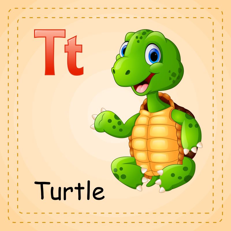 T代表乌龟动物字母表矢量
