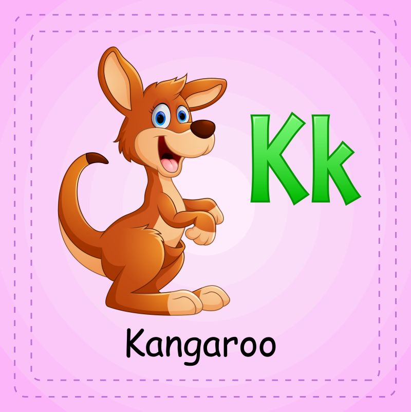 动物字母K是袋鼠矢量