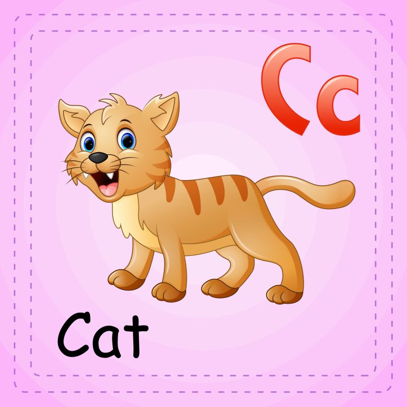 动物字母表C代表猫矢量