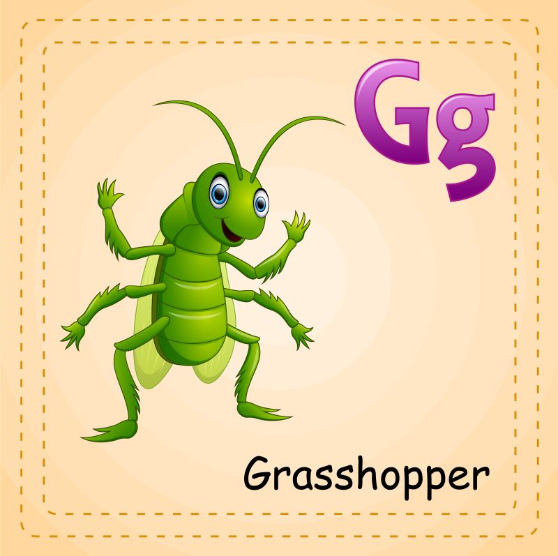 动物字母G是蚱蜢矢量