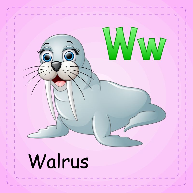 动物字母W的冰的海象矢量