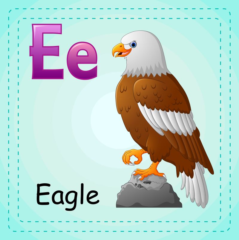 动物字母表E代表鹰矢量