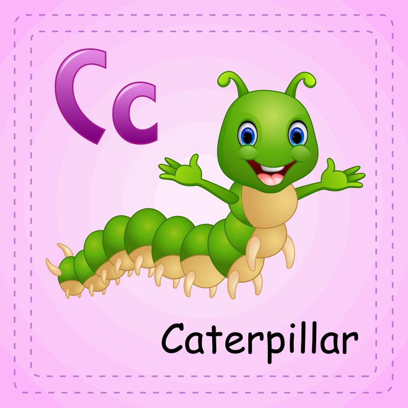 动物字母表C代表毛毛虫矢量