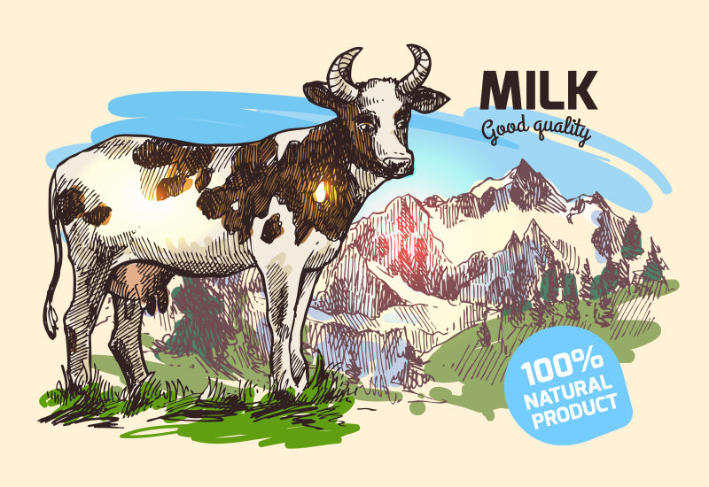 山里的奶牛矢量手绘插图