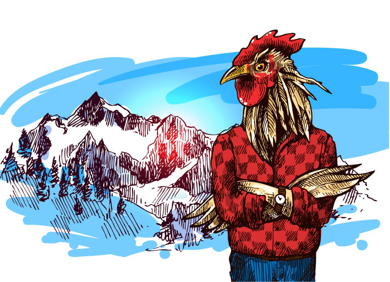 在山上编织毛衣的公鸡手绘矢量插图
