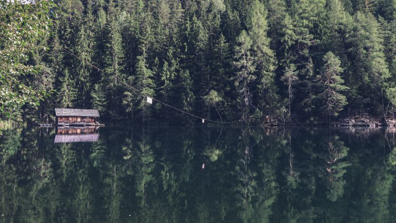 森林里的湖景