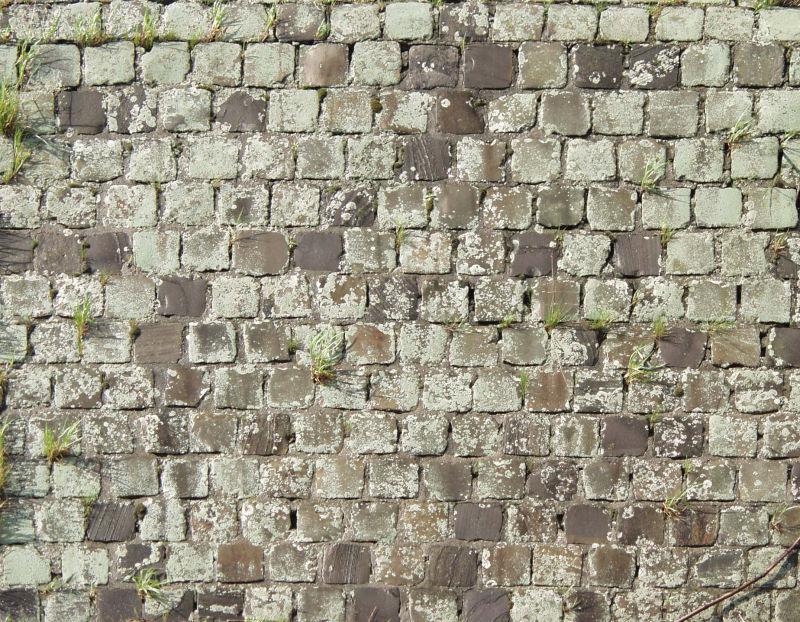旧砖墙缝长绿草的石墙背景