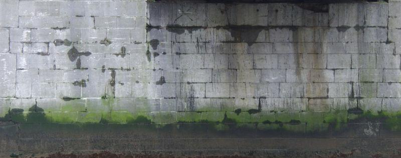 长了深绿色的苔藓砖墙背景