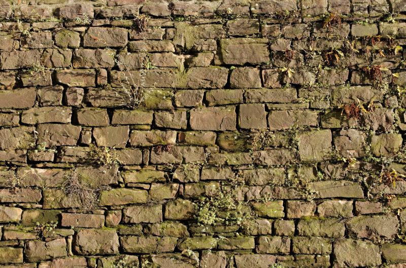 长绿毛的旧砖墙背景