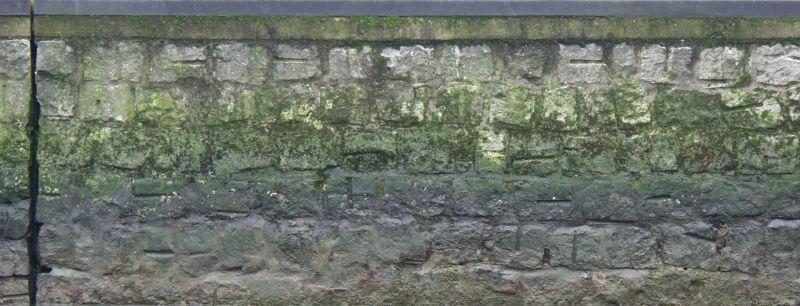 长了绿毛的旧石墙背景