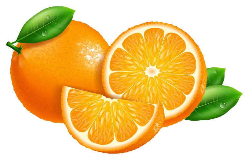矢量新鲜橙子