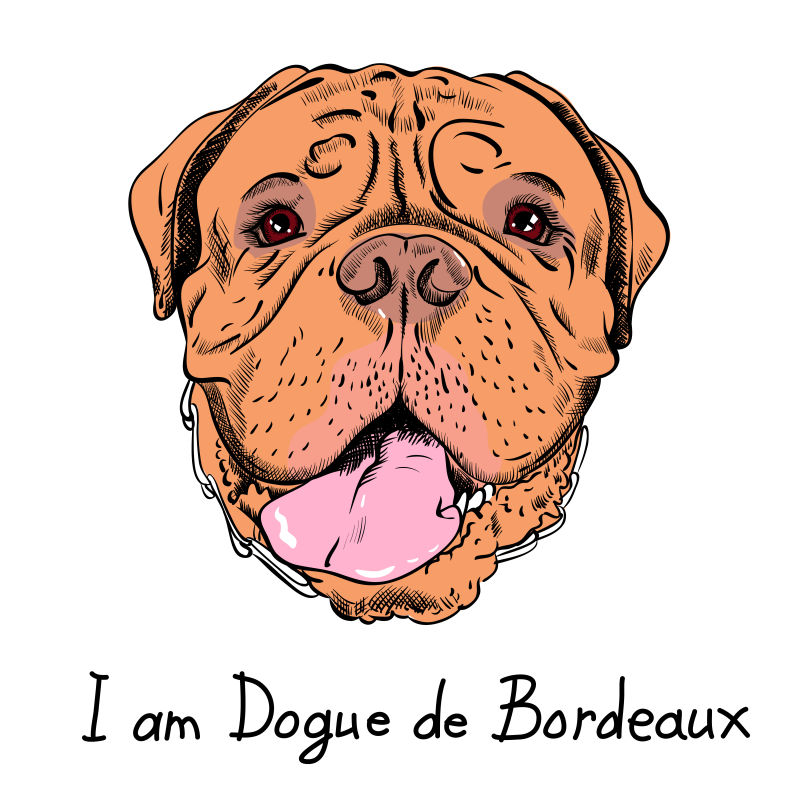 矢量的卡通法国獒犬