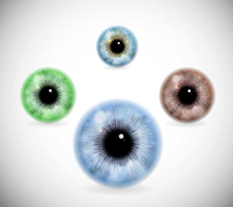 矢量逼真的瞳孔不同颜色的眼睛