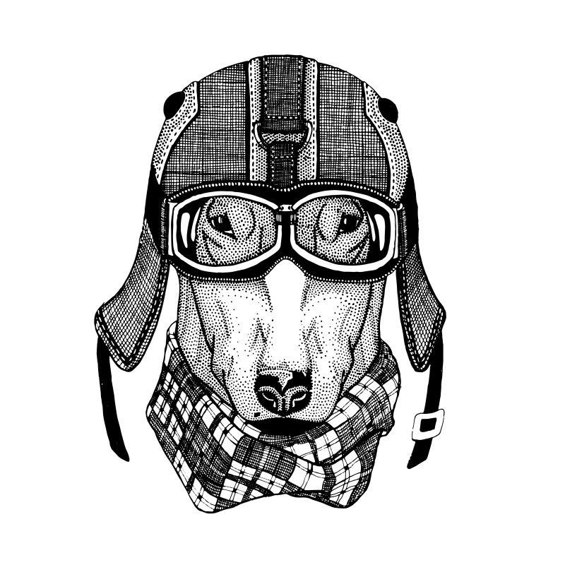 矢量手绘骑车犬T恤图案设计