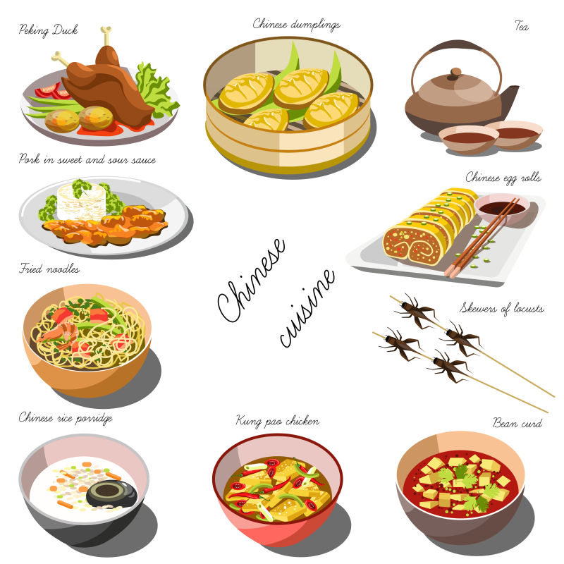 矢量的中国食物插图设计