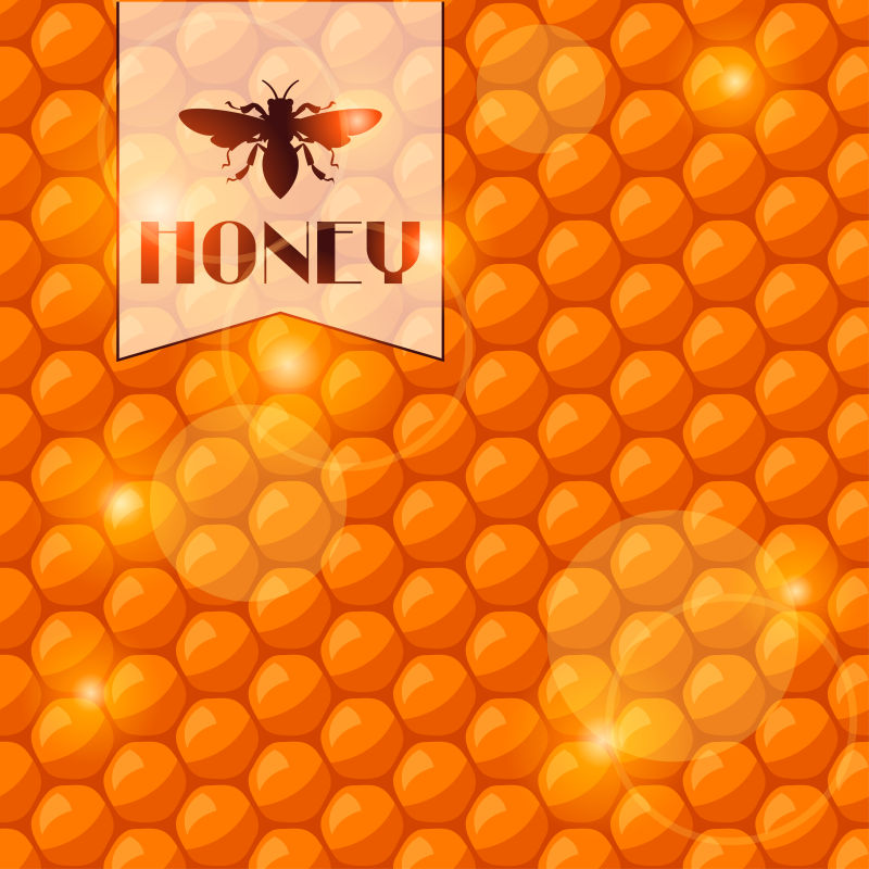 矢量背景蜜蜂和蜂蜜