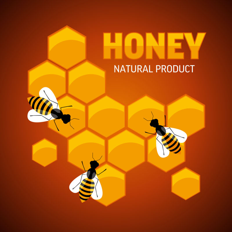 矢量蜜蜂与蜂巢的组成