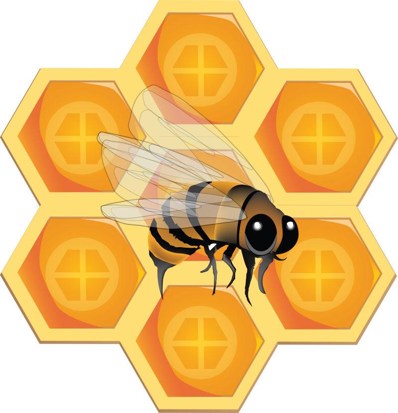 蜂蜜的蜂巢矢量插图