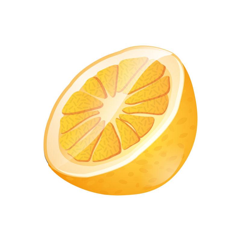 橙色的橙子矢量插图