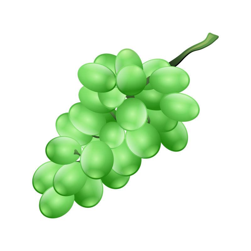 一串绿色的葡萄串矢量插图