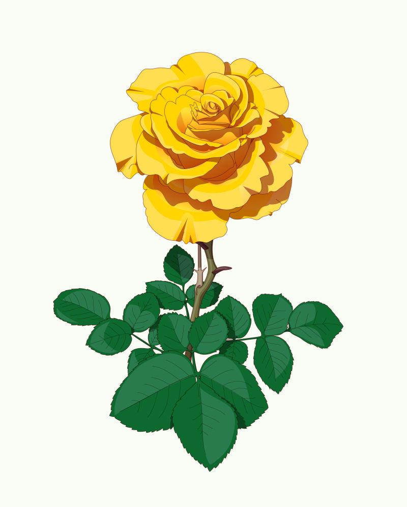 一朵新鲜的黄玫瑰矢量插图
