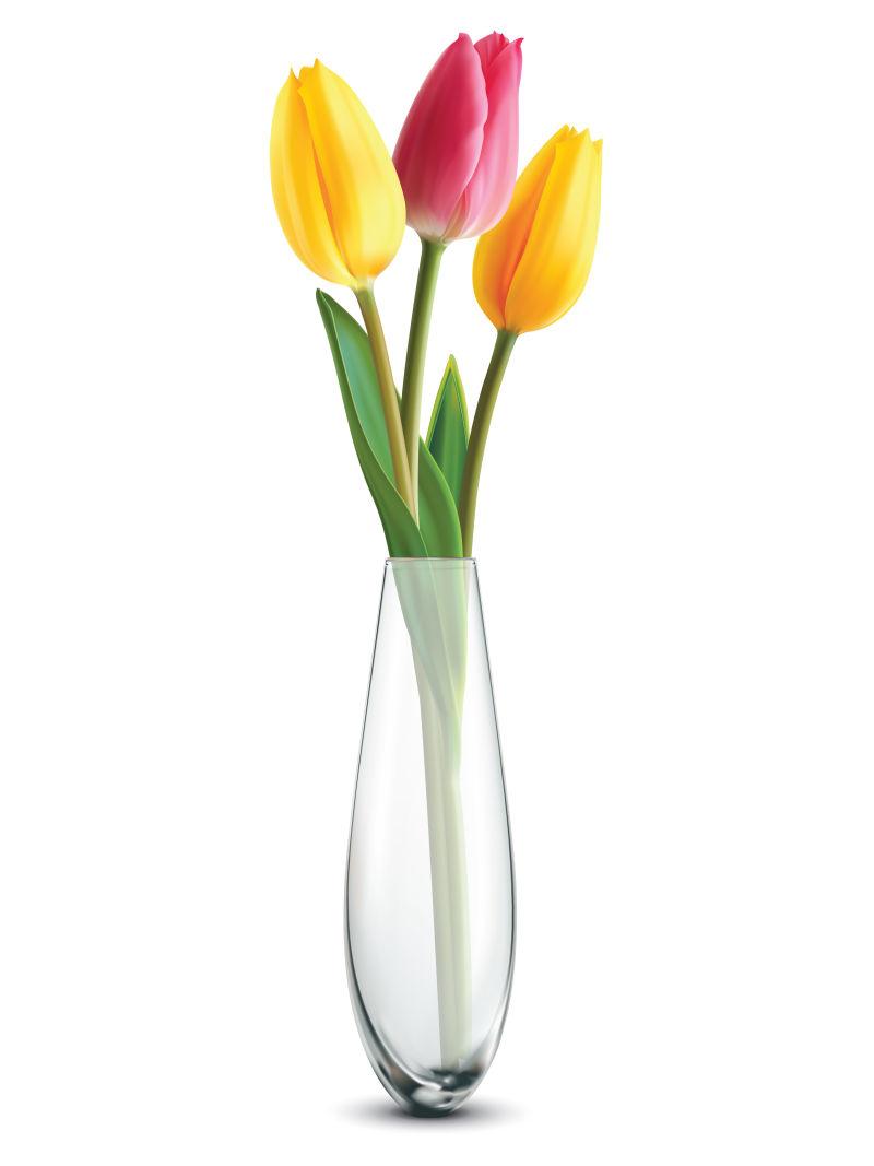 郁金香在玻璃瓶上白色的花束矢量插图
