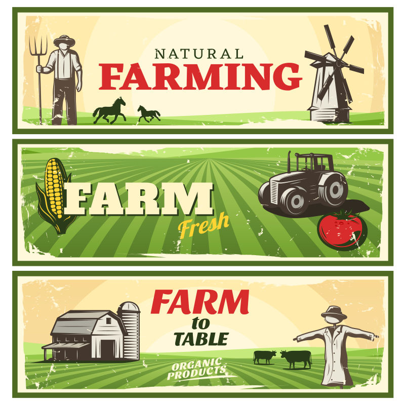 矢量新鲜农场元素的复古海报设计