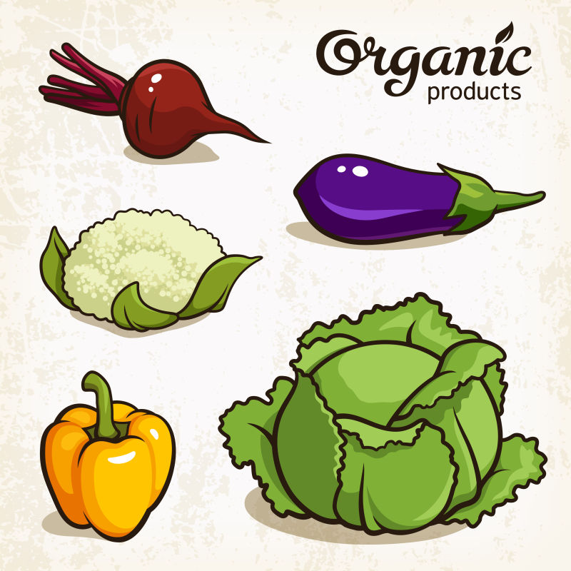 创意矢量蔬菜元素的平面插图