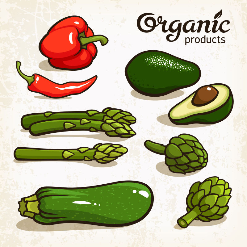 创意矢量健康蔬菜的平面插图