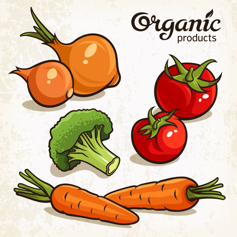 创意矢量蔬菜的平面插图