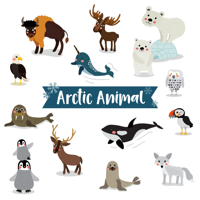 矢量卡通北极的动物